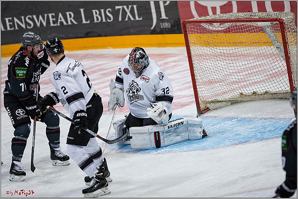 DEL, Koelner Haie - Nuernberg Ice Tiger, 24.01.2017